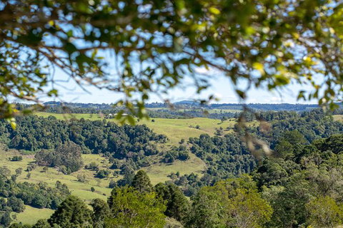 Full-Day Guided Hinterland Adventure Tour In Queensland - Attractions Melbourne 5