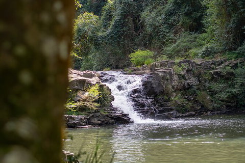 Full-Day Guided Hinterland Adventure Tour In Queensland - Attractions Melbourne 9