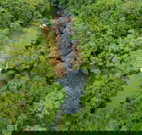 Full-Day Guided Hinterland Adventure Tour in Queensland - Attractions Melbourne