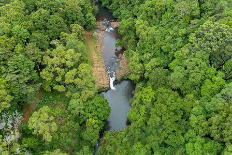 Full-Day Guided Hinterland Adventure Tour In Queensland - Attractions Melbourne 0