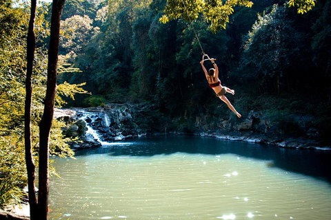 Full-Day Guided Hinterland Adventure Tour In Queensland - Attractions Melbourne 4