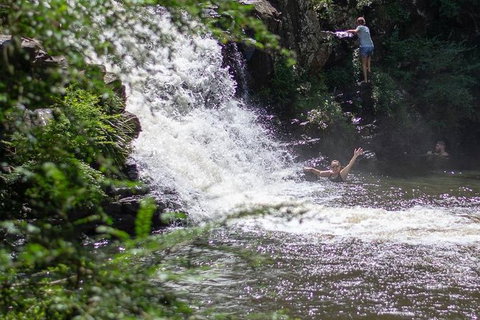 Full-Day Guided Hinterland Adventure Tour In Queensland - Attractions Melbourne 6