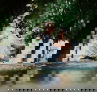 Private Photo Session with a Local Photographer in Cairns - Attractions Melbourne