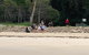 Stradbroke Island Adventure Cruise And Tour Departing Brisbane City - thumb 4