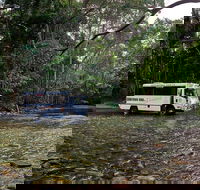 3 Day Cape Tribulation  Cooktown Tour from Cairns or Port Douglas - Attractions Melbourne