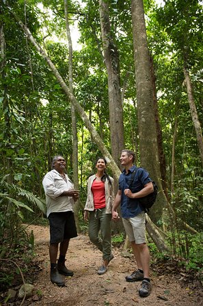 Mossman Gorge Dreamtime Tour - Attractions Melbourne 1