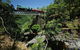 Kuranda Tour With Kuranda Scenic Rail - thumb 15