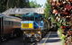 Kuranda Tour With Kuranda Scenic Rail - thumb 11