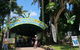 Kuranda Tour With Kuranda Scenic Rail - thumb 14