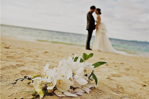 Airport Transfer - Port Douglas To Cairns Airport - Attractions Melbourne 1