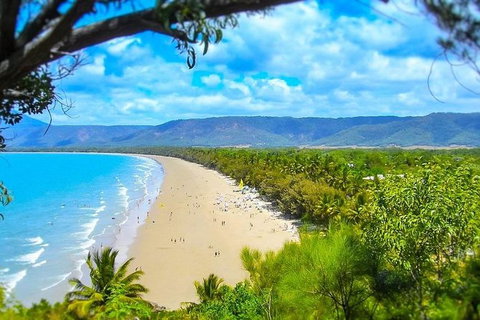 Airport Transfer - Port Douglas To Cairns Airport - Attractions Melbourne 3