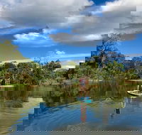 Kuranda Rainforest Paddleboarding Adventure Tour - Attractions Melbourne