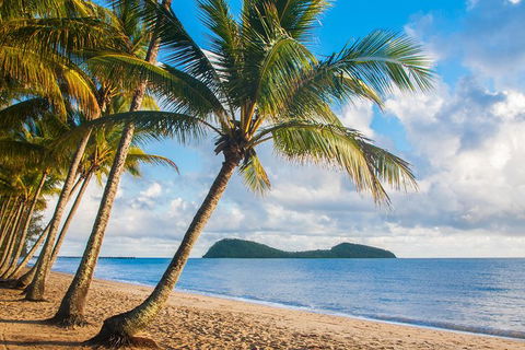 Luxury Van, Private Transfer, Cairns Airport - Palm Cove. - Attractions Melbourne 1