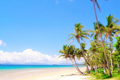 Airport Transfer - Mission Beach To Cairns Airport - Attractions Melbourne 3