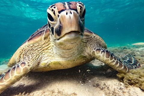 2Day 2Night Sail, Snorkel & SUP Adventure Whitsundays Double - Attractions Melbourne 6
