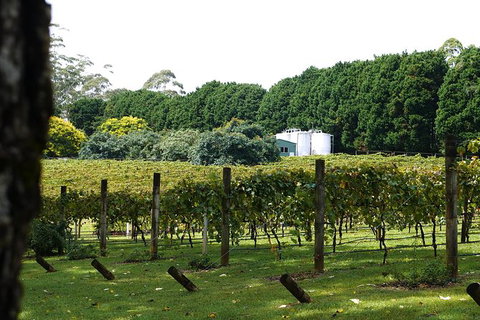 Birthday Tour - Attractions Melbourne 6