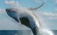 Great Barrier Reef Luxury Expedition Cruise Cabin Booking 7 Days 6 Night - thumb 7