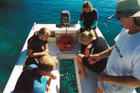Great Barrier Reef Luxury Expedition Cruise Cabin Booking 7 Days 6 Night - Attractions Melbourne 1