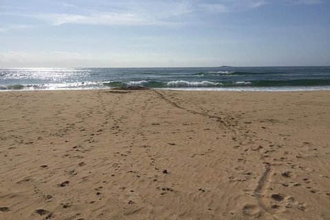 Self-guided Coast Walks - Noosa To Sydney 6 Days ( Dep 25 Sep 2019, 24 Sep 2020) - Attractions Melbourne 5