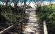 Self-guided Coast Walks - Noosa To Sydney 6 Days ( Dep 25 Sep 2019, 24 Sep 2020) - thumb 2