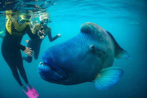 2Day 2 Night Sail, Snorkel & SUP Adventure Whitsundays Single - Attractions Melbourne 2