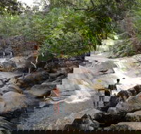 2D1N Atherton Tablelands Camping - Attractions Melbourne