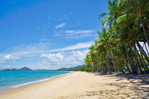 Airport Transfer - Cairns Airport To Palm Cove, Kewarra & Trinity Beaches - Attractions Melbourne 4