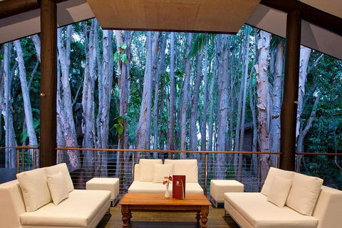 Airport Transfer - Cairns Airport To Palm Cove, Kewarra & Trinity Beaches - Attractions Melbourne 2