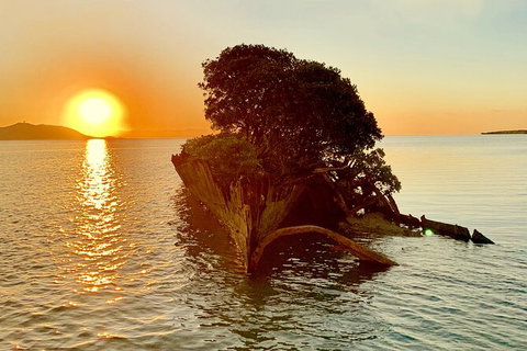 Aquascene Magnetic Island Sunset & Shipwreck Tour - Attractions Melbourne 3