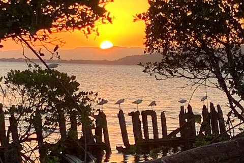 Aquascene Magnetic Island Sunset & Shipwreck Tour - Attractions Melbourne 2