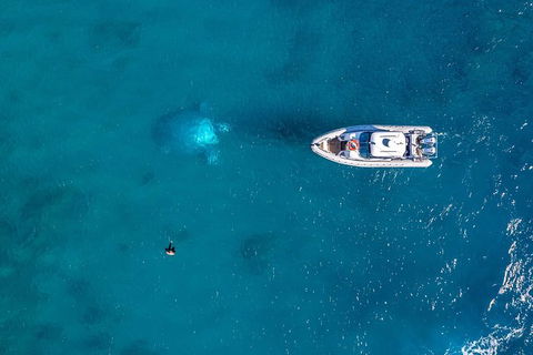 Premium Private Charter - Attractions Melbourne 2