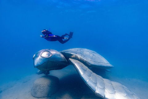 Premium Private Charter - Attractions Melbourne 9