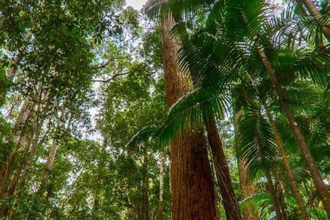 3-Day Fraser Island Hiking And 4WD Adventure From Hervey Bay - Attractions Melbourne 1