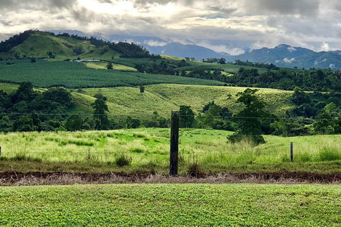 Tableland Tasting Tour - Attractions Melbourne 0