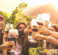 Mt Tamborine Winery Tour - Local Pickup - Attractions Melbourne