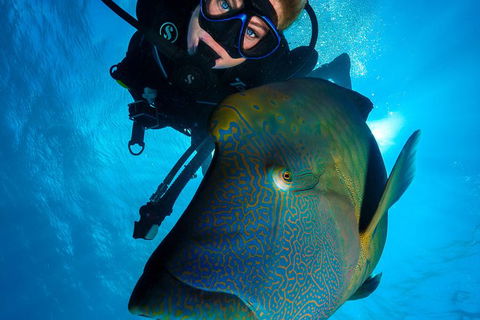 Gold Class VIP Great Barrier Reef Cruise From Cairns By Luxury Superyacht - Attractions Melbourne 7
