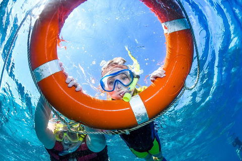 Gold Class VIP Great Barrier Reef Cruise From Cairns By Luxury Superyacht - Attractions Melbourne 5