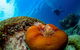 Gold Class VIP Great Barrier Reef Cruise From Cairns By Luxury Superyacht - thumb 4