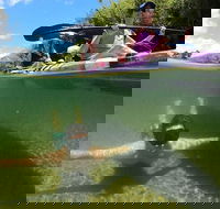 Babinda Half Day or Full Day Self-Guided Kayaking Experience - Attractions Melbourne