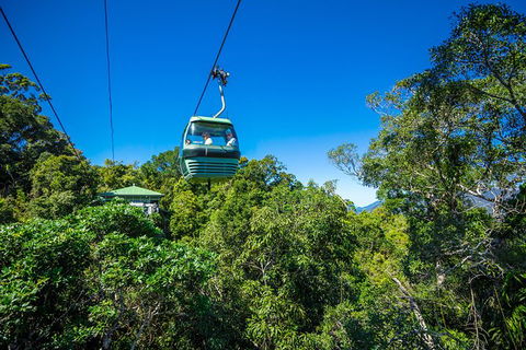 Kuranda Day Tour,TKS- Budget 930 - Attractions Melbourne 4