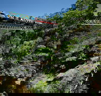 Kuranda Day TourTKS- Budget 930 - Attractions Melbourne