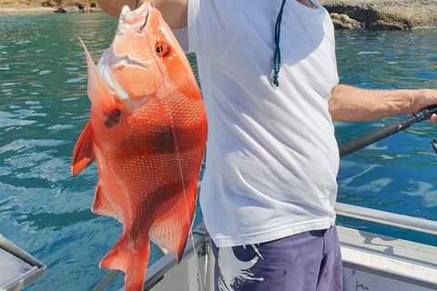 Adventure Fishing Combo Day - Fish, Swim, Whitehaven, Hill Inlet Bush Walking - Attractions Melbourne 2