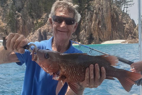 Adventure Fishing Combo Day - Fish, Swim, Whitehaven, Hill Inlet Bush Walking - Attractions Melbourne 10
