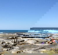 Sunshine Coast Rocky Shore Educational Eco Tour - Attractions Melbourne