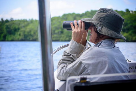 Private Daintree Mossman Gorge Exclusive Nature And Wildlife Focus - Attractions Melbourne 4