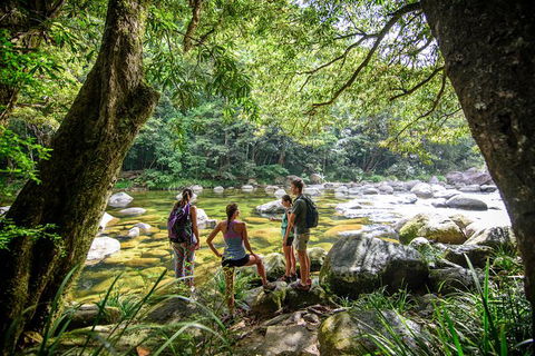 Private Daintree Mossman Gorge Exclusive Nature And Wildlife Focus - Attractions Melbourne 3