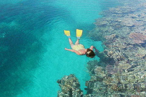 Great Barrier Reef Private Expedition Cruise (min 4 Day Max 8 Guests) - Attractions Melbourne 6