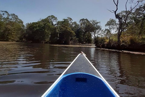 Noosa Hinterland Scenic Canoe & Abseil Tour - Attractions Melbourne 4