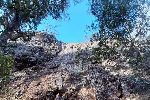 Noosa Hinterland Scenic Canoe & Abseil Tour - Attractions Melbourne 6