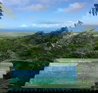 Daintree Luxury Limousine Tour - Full Day - Attractions Melbourne